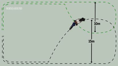 Diagram showing horse training exercise for counter-canter
