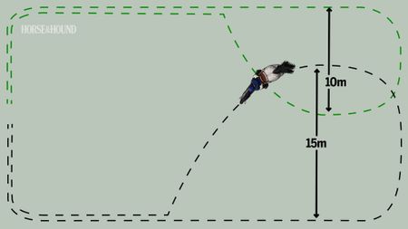 Diagram showing horse training exercise for counter-canter