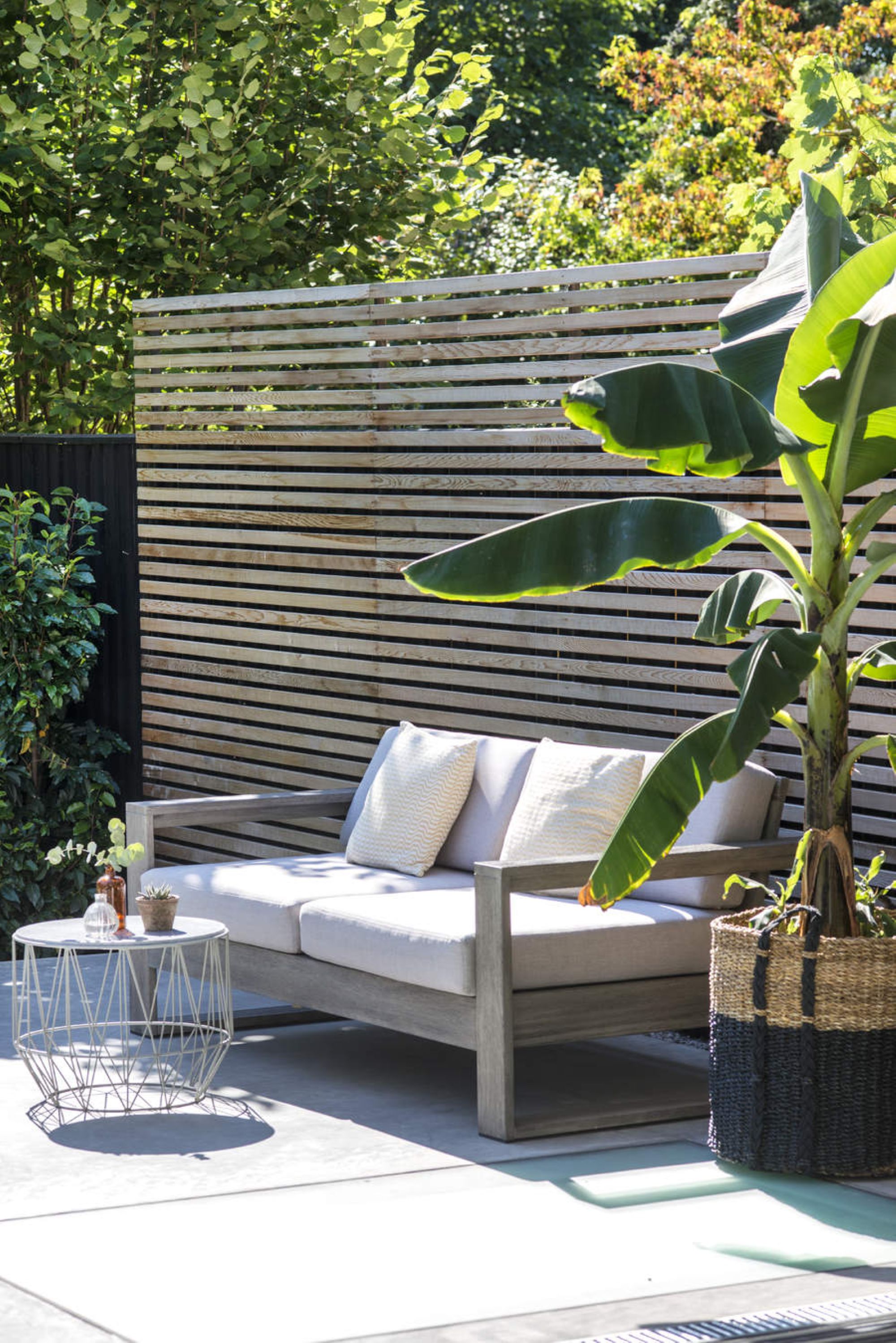 outdoor seating area with a privacy fence and a large plant