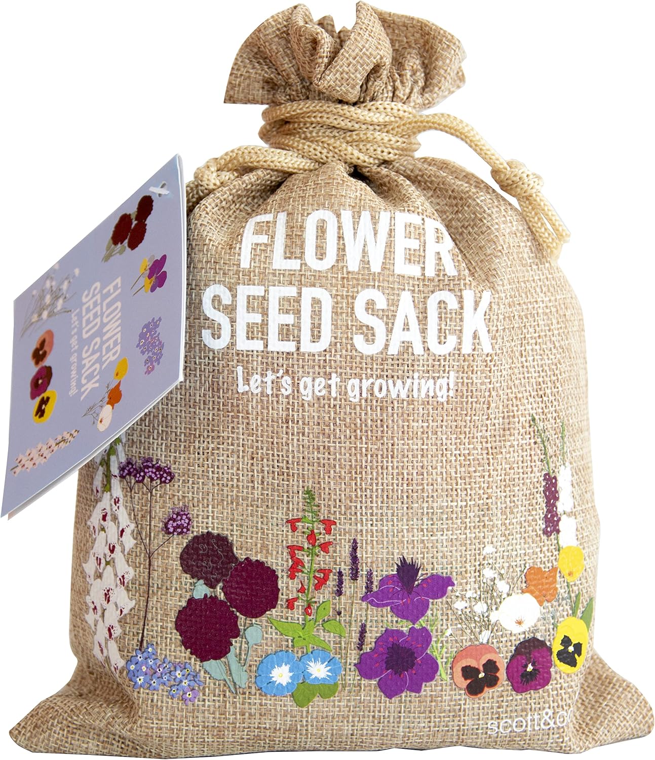 Scott&amp;amp;co. Flower Seed Variety Pack - 30 Different Varieties of Flower Seeds to Grow Your Own. Butterfly and Bee Attracting, Grow Indoor and Outdoor. Christmas Gifts for Women and Men.