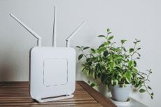 A router on a table, next to a plant