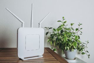 A router on a table, next to a plant