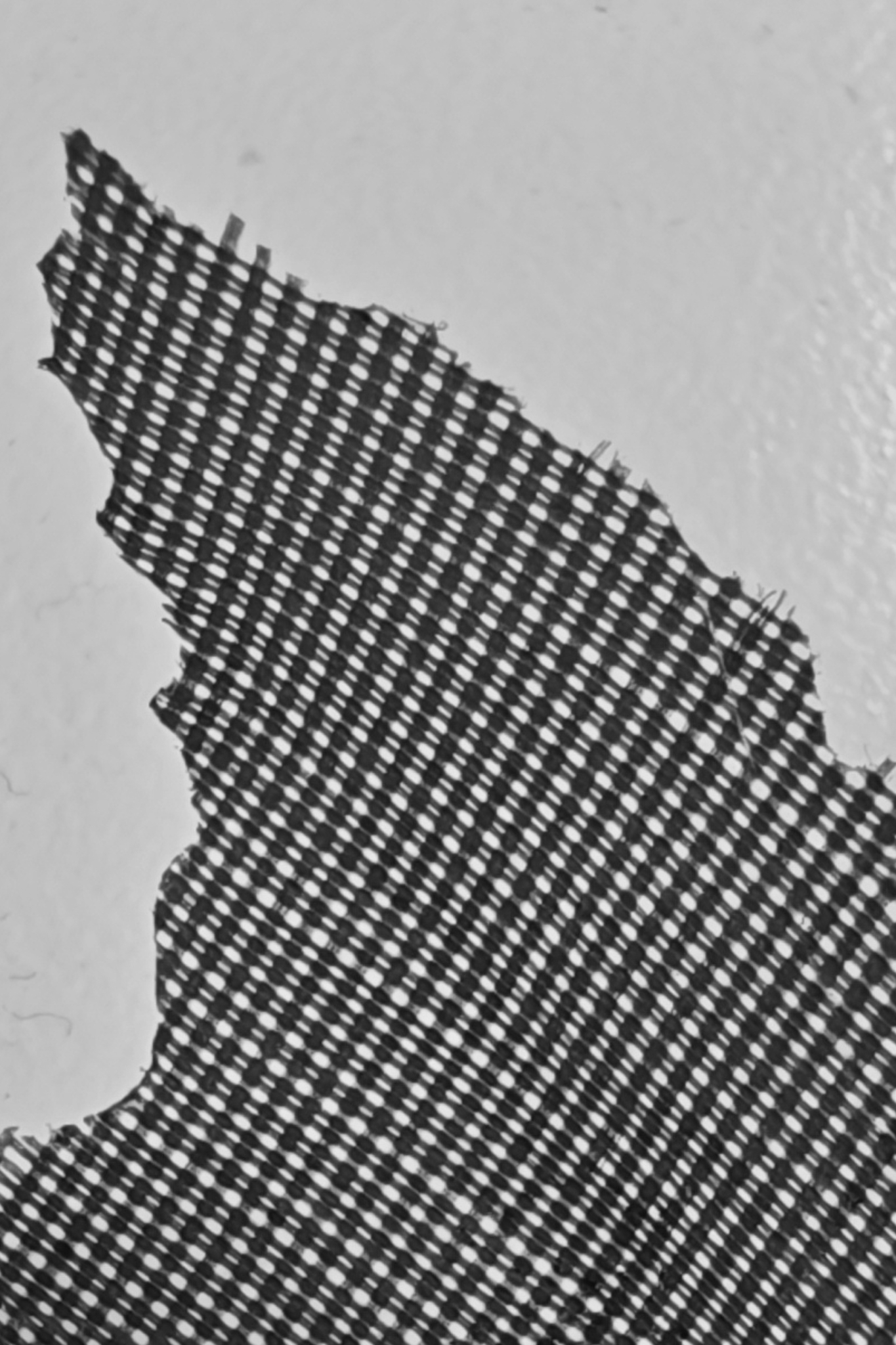 Leica Q3 Monochrom vs Leica Leitzphone macro comparison