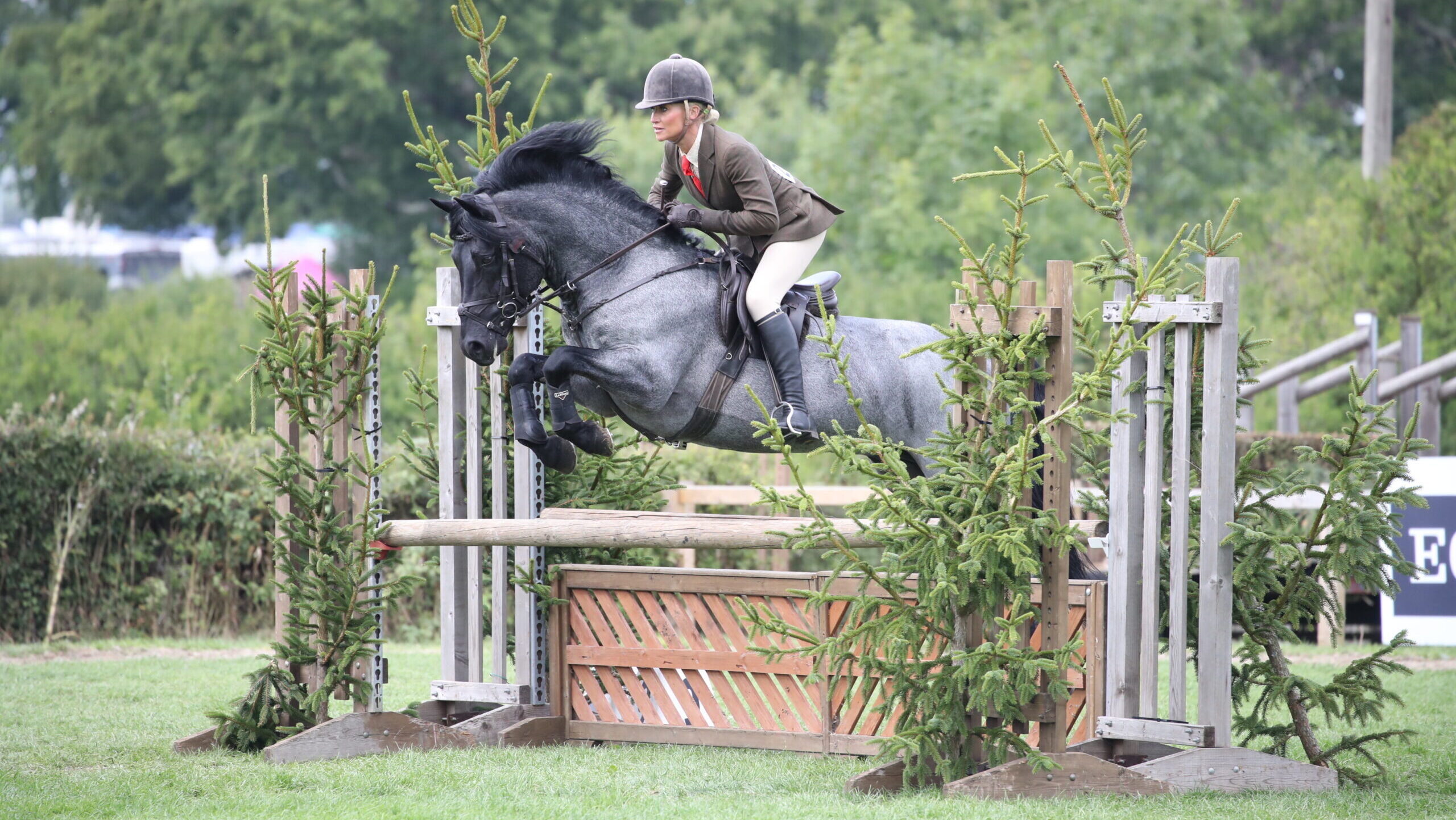 Vikki Smith and roan New Forest pony Lovelyhill Folklore jump to victory in the m&amp;m working hunter pony championship at the 2025 Royal International