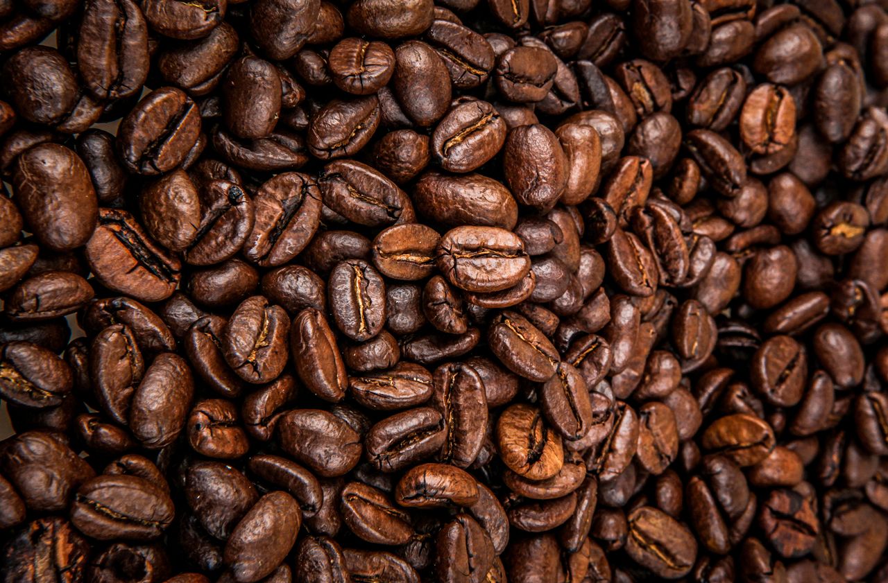 A close up image of coffee beans.