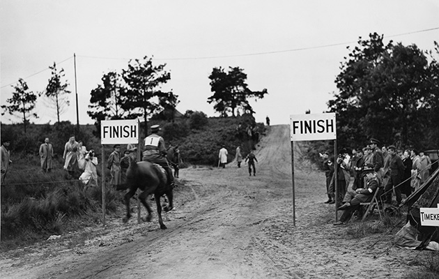 Equestrian Cross-Country