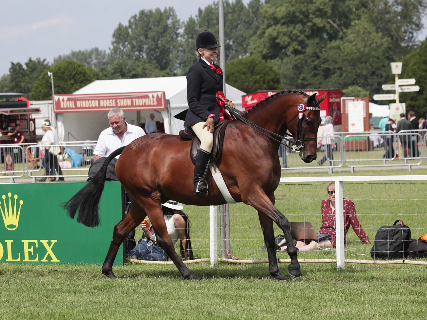 show horse names