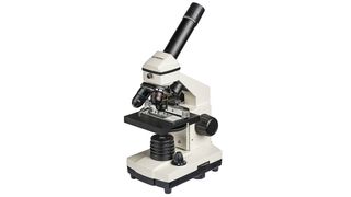 Bresser Biolux NV 20x-1280x, one of the best microscopes