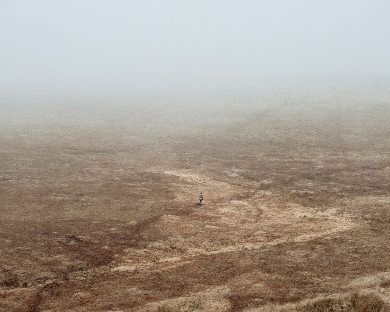 An open brown field with one person in the middle