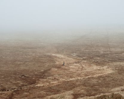 An open brown field with one person in the middle