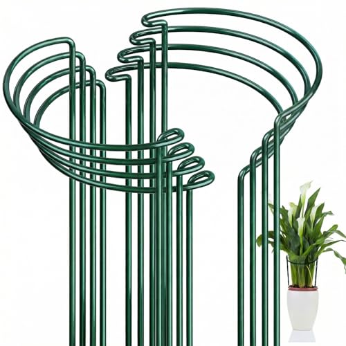 Feed Garden 8 Pack Peony Cages and Supports, Plant Support Stakes for Outdoor &amp;amp; Indoor Plants, 10" W X 16" H Half Round Garden Plant Support Rings for Peonies, Hydrangeas, Roses, Dahlias