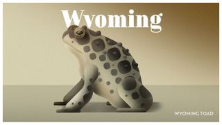 Endangered wildlife posters: Wyoming toad