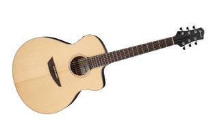 Best acoustic guitars under $1,000: Ibanez PA300E