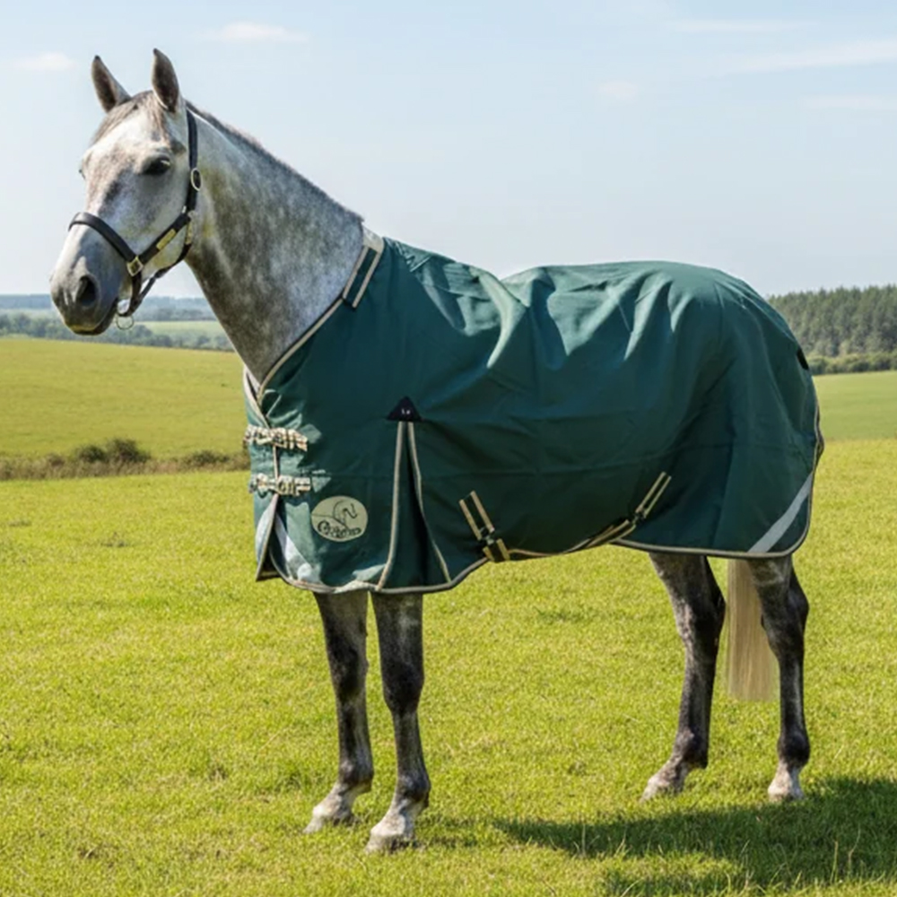 Grey horse in field wearing a green Ruggles V2 Standard Turnout Rug