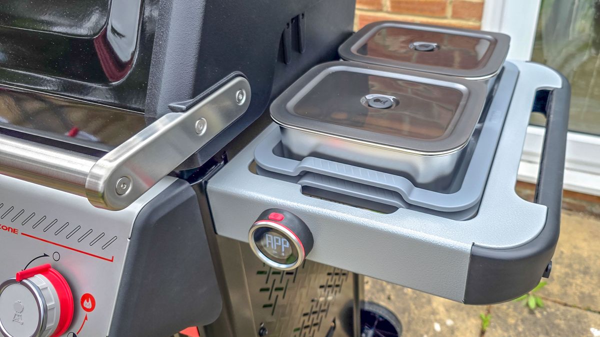 Weber Spirit EX325 grilling foods