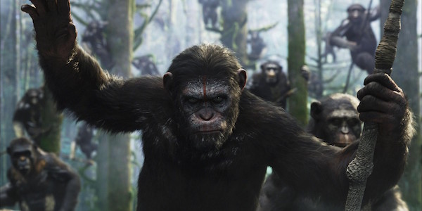 Caesar leading apes in Dawn of the Planet of the Apes