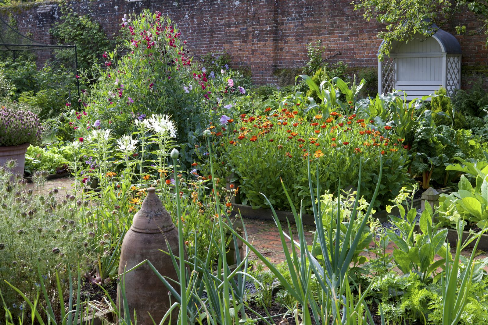 Organic gardening: how to create a successful organic garden | Real Homes