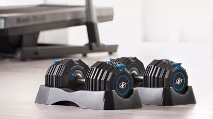 NordicTrack Select-A-Weight 55 Lb. Dumbbell Set Review