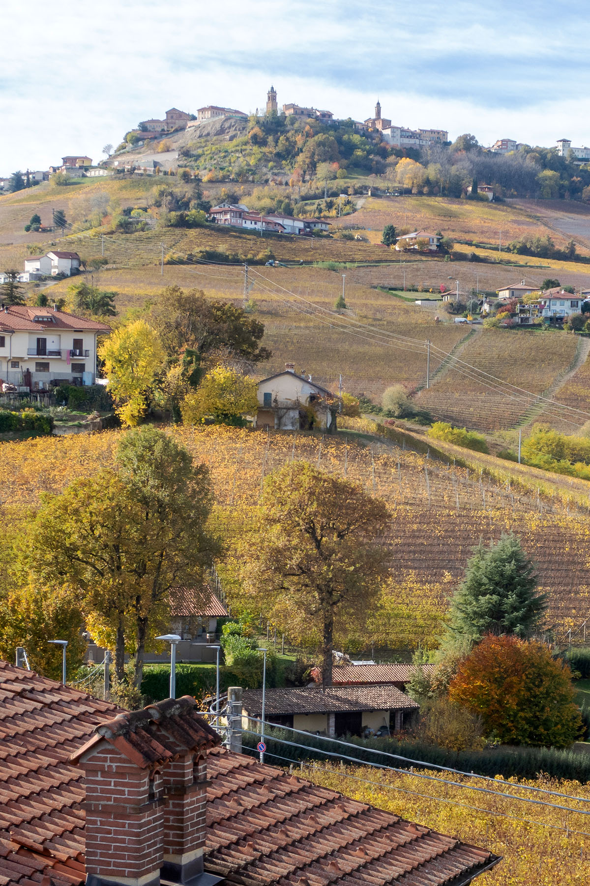 Vineyards around the village of La Morra