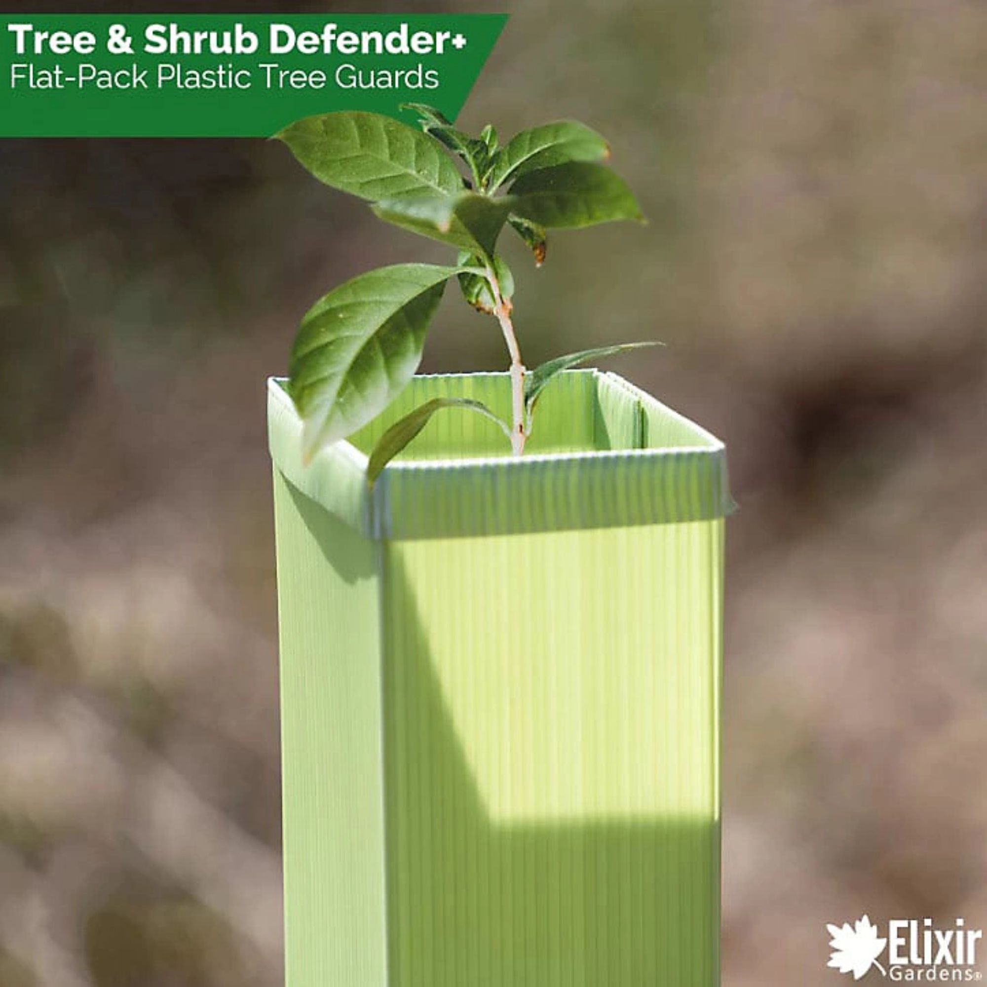 Tree defender B&amp;amp;Q