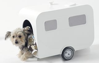 Dog caravan