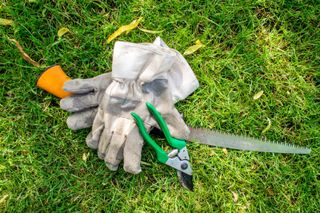 White Pruning Shears - Dig Gardens