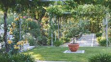 A bright and sunny garden with a green lawn, paved pathway, pathed staircase, and flowers growing up frames.