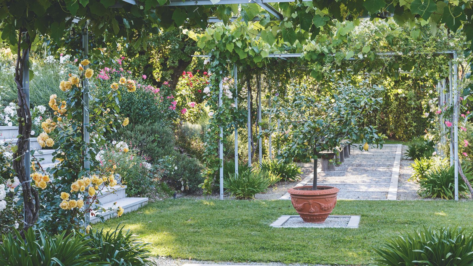 A bright and sunny garden with a green lawn, paved pathway, pathed staircase, and flowers growing up frames.
