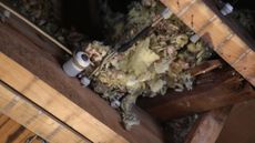 Asbestos in roof insulation