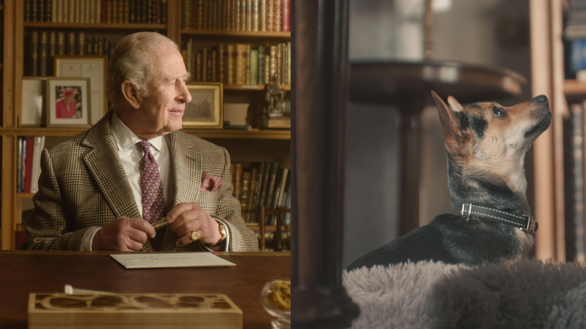 King Charles sitting at his desk; Queen Camilla's dog Moley