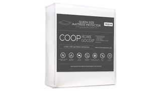 Best mattress protectors: the Coop Home Goods Mattress Protector shown in off-white