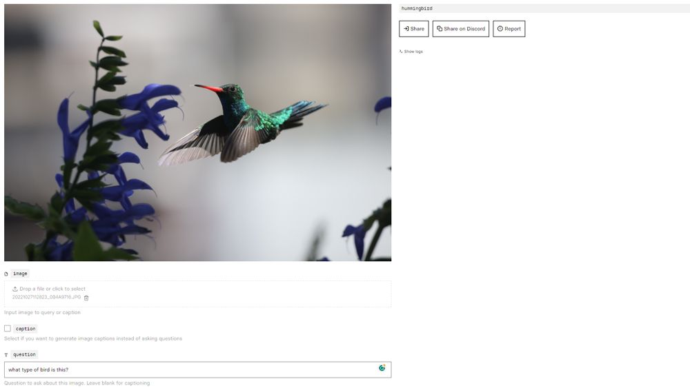 Screenshots from Blip-2 AI image reader