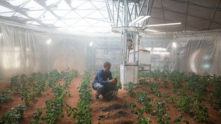 . The Martian's Mark Watney grows potatoes in his habitat.