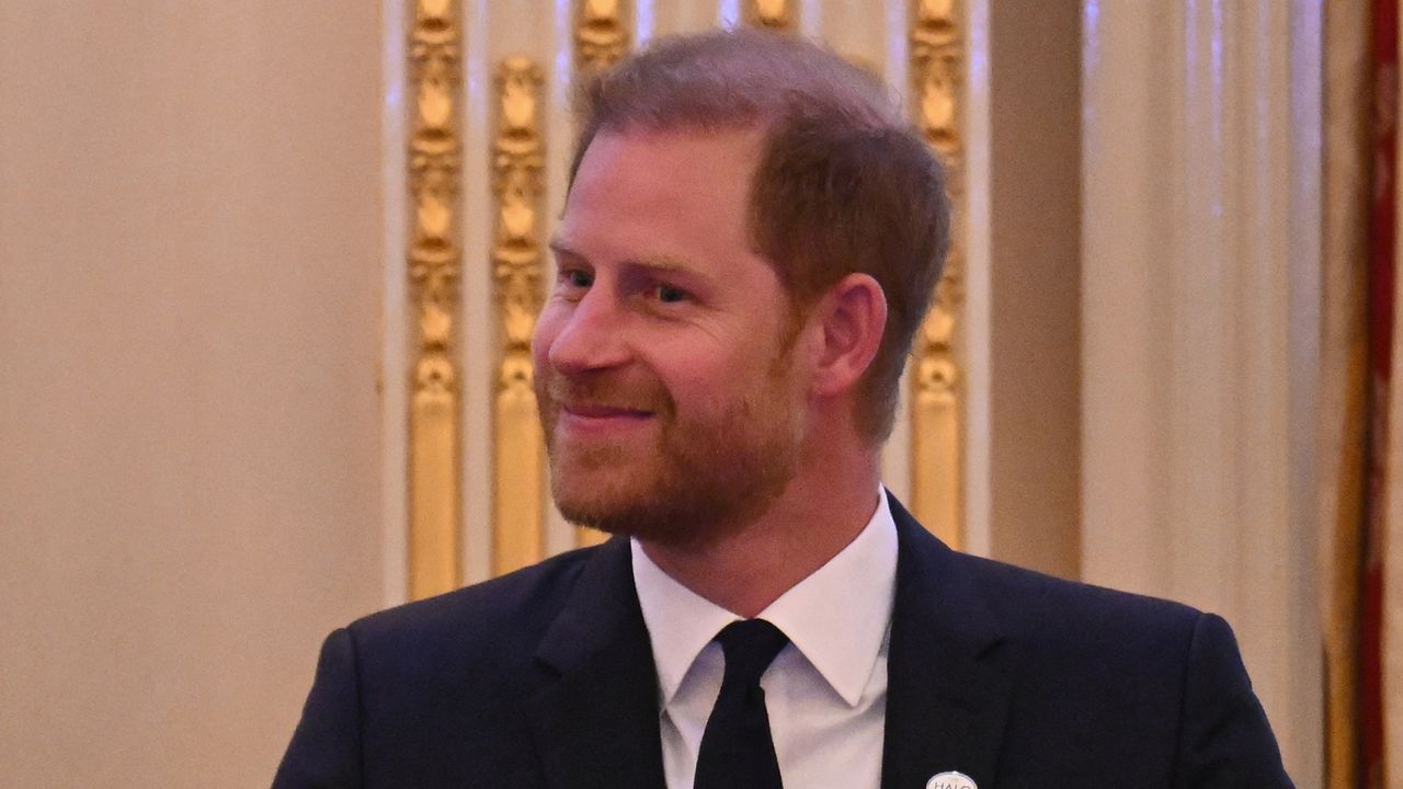 Prince Harry at a Halo Trust reception