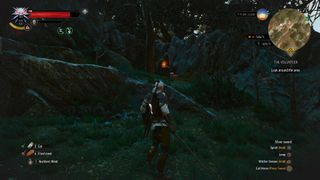 witcher 3 Igni Place of Power velen