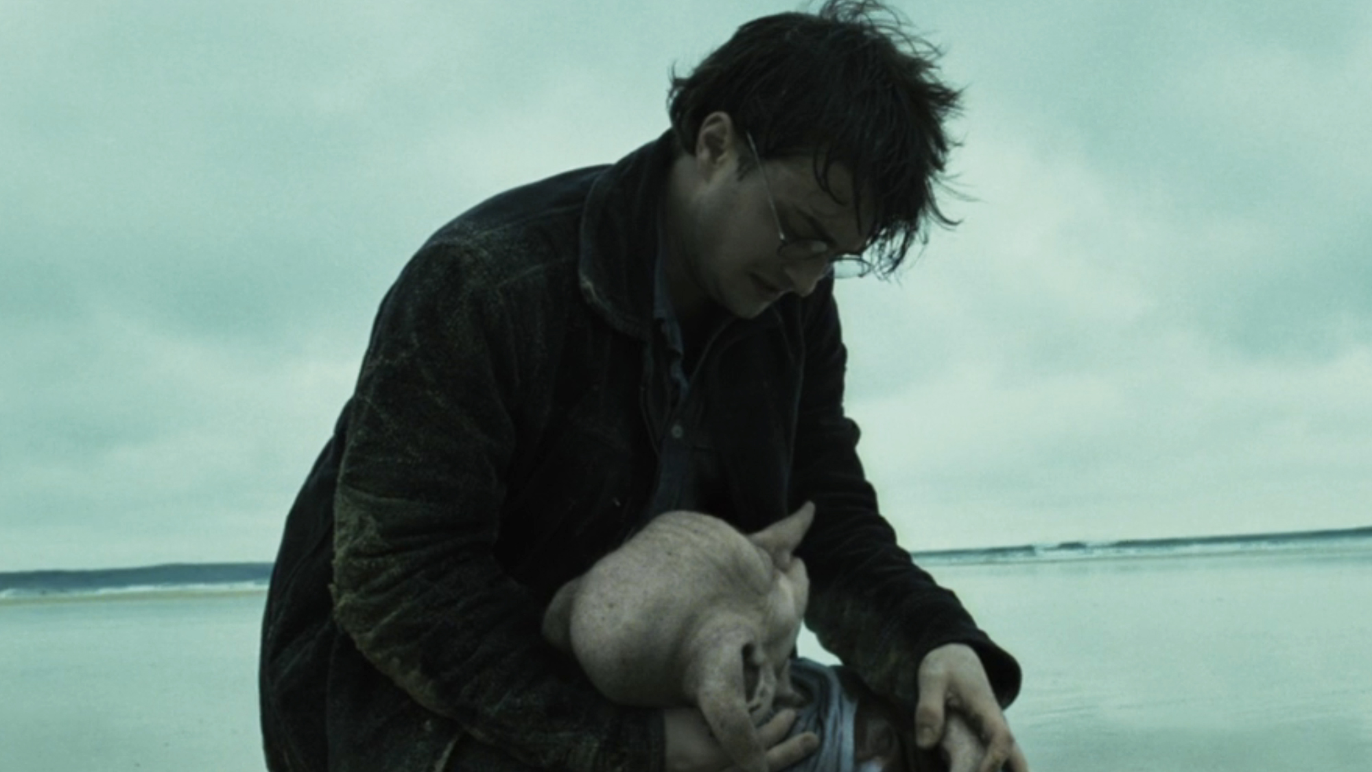 Harry Potter, wearing a dark jacket, holds a dying Dobby in his arms along the coast line, in Deathly Hallows - Part 1.