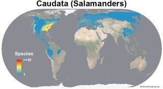salamander biodiversity map