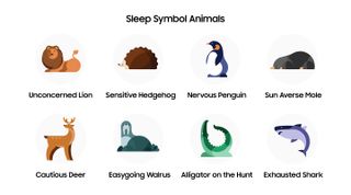 Galaxy Watch 4 sleep coach sleep symbols