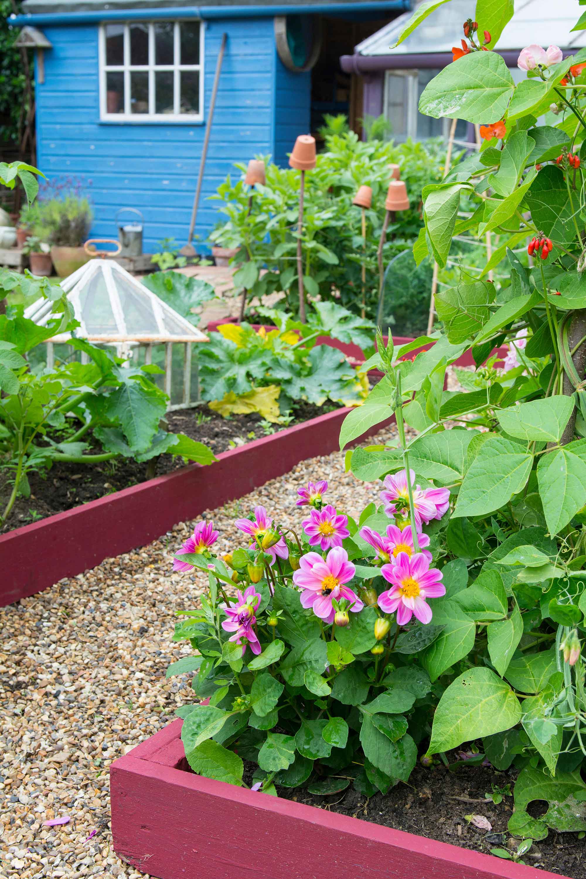 pink raised garden bed ideas