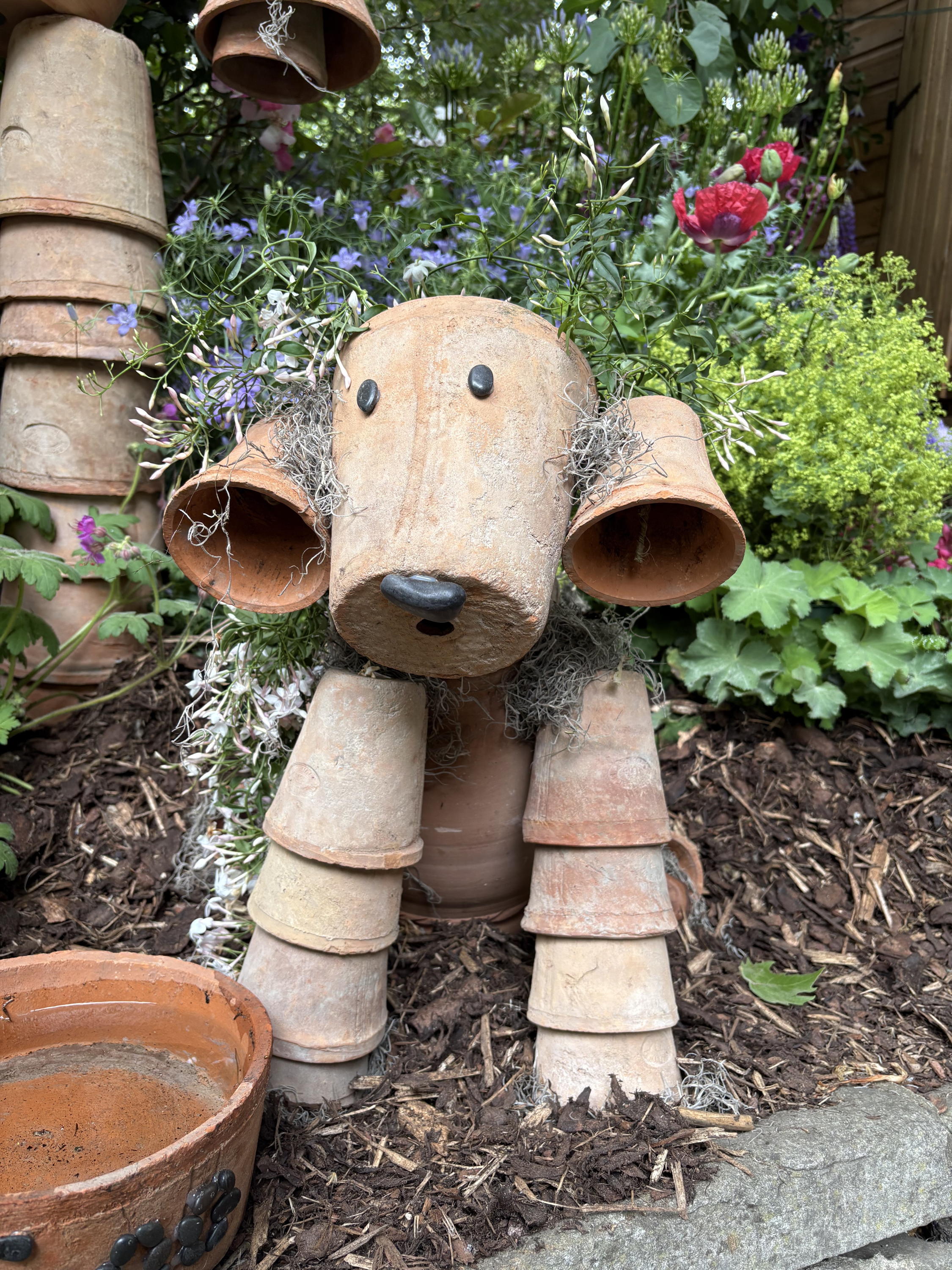 The flowerpot dog at RHS Chelsea Flower Show 2025