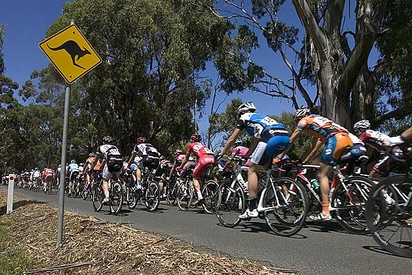 Well it is the Australian Championships&hellip; But no sign of kangaroos during racing.