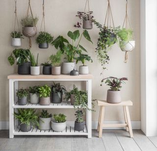 how to hang plant from ceiling, group of hanging plants by Garden Trading
