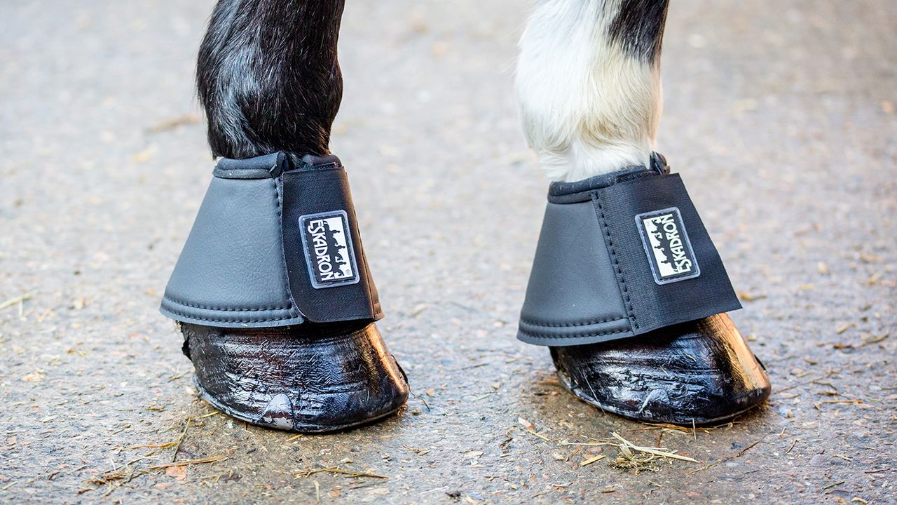 Eskadron synthetic leather overreach boots review