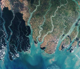 The European Space Agency's Sentinel-2A satellite has captured a remarkable photo of the eastern part of the Sundarbans National Park in Bangladesh.
