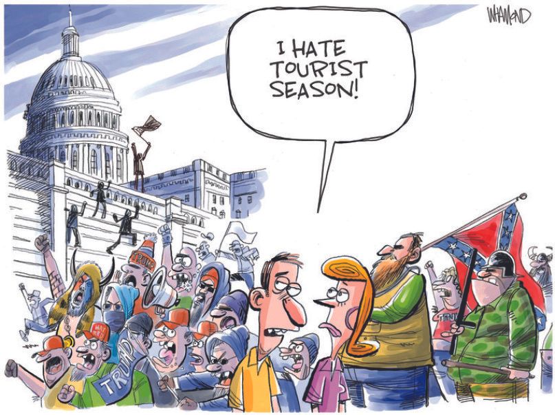 political cartoon capitol riot