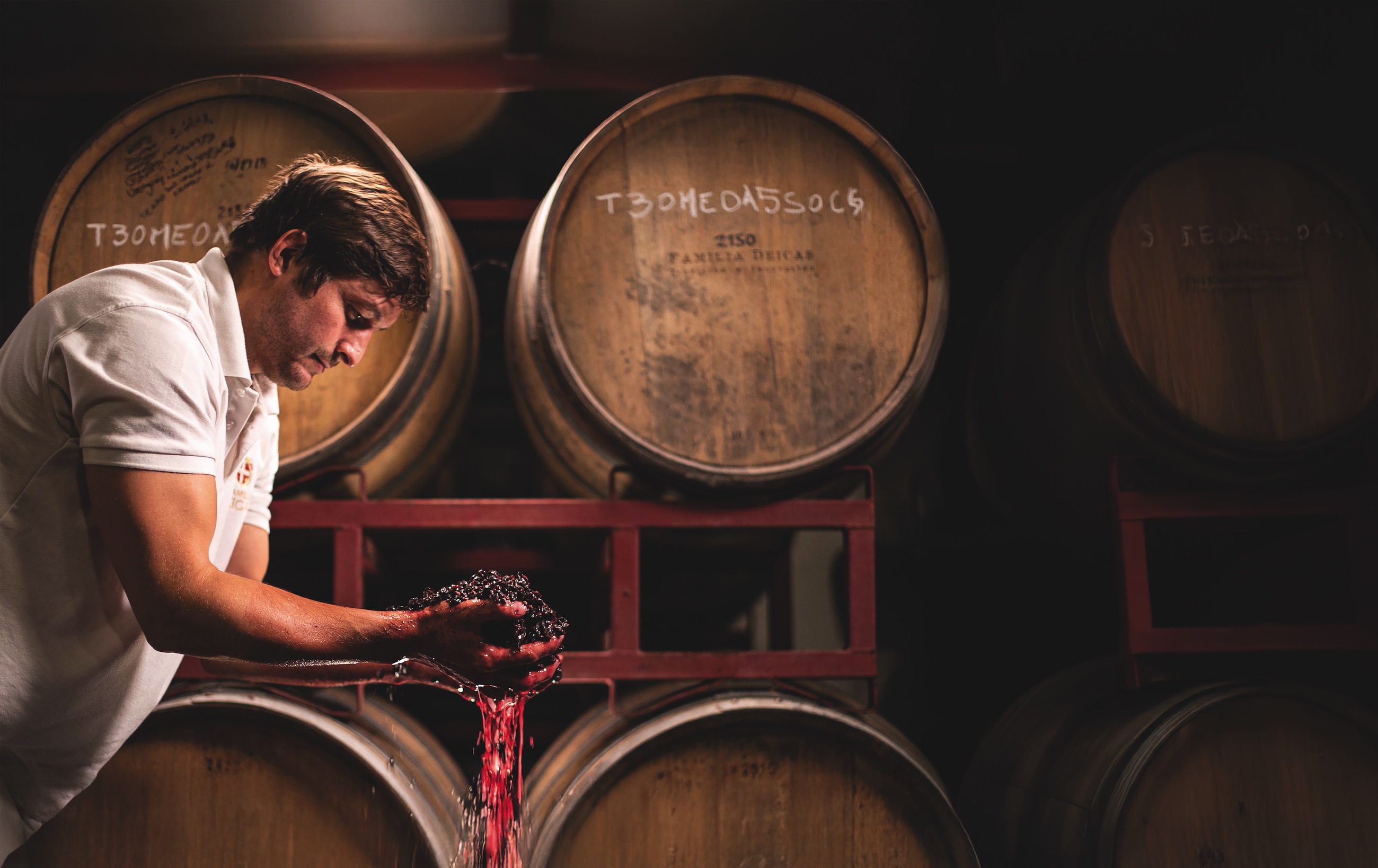 Santiago Deicas, third-generation winemaker at Familia Deicas in Uruguay