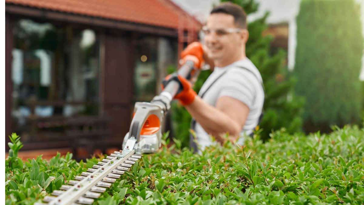 5 expert tips for shaping your hedge like a professional | Tom's Guide