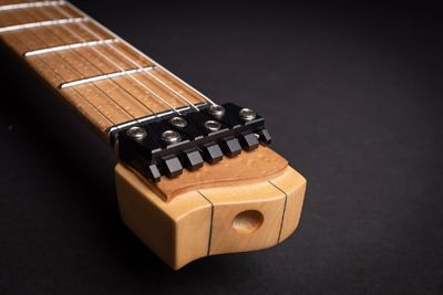 Strandberg NX Concept