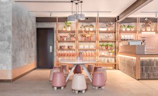 Terracotta counter and assorted hand-made ceramic pendant lights, whilst cement stools sporting deep dusty Eucalypt pink shades recall upturned garden flowerpots.