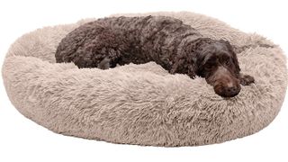 Furhaven Pet Calming Donut Dog Bed